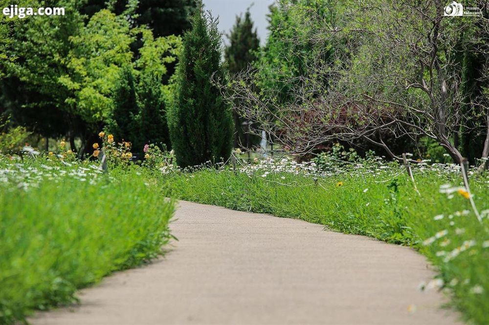 باغ 700 متر، چهاردیواری ، حیدره