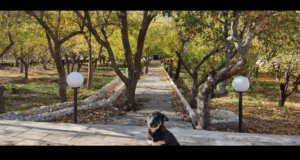 باغ 2100 متری ، بر بلوار اصلی گنجنامه 