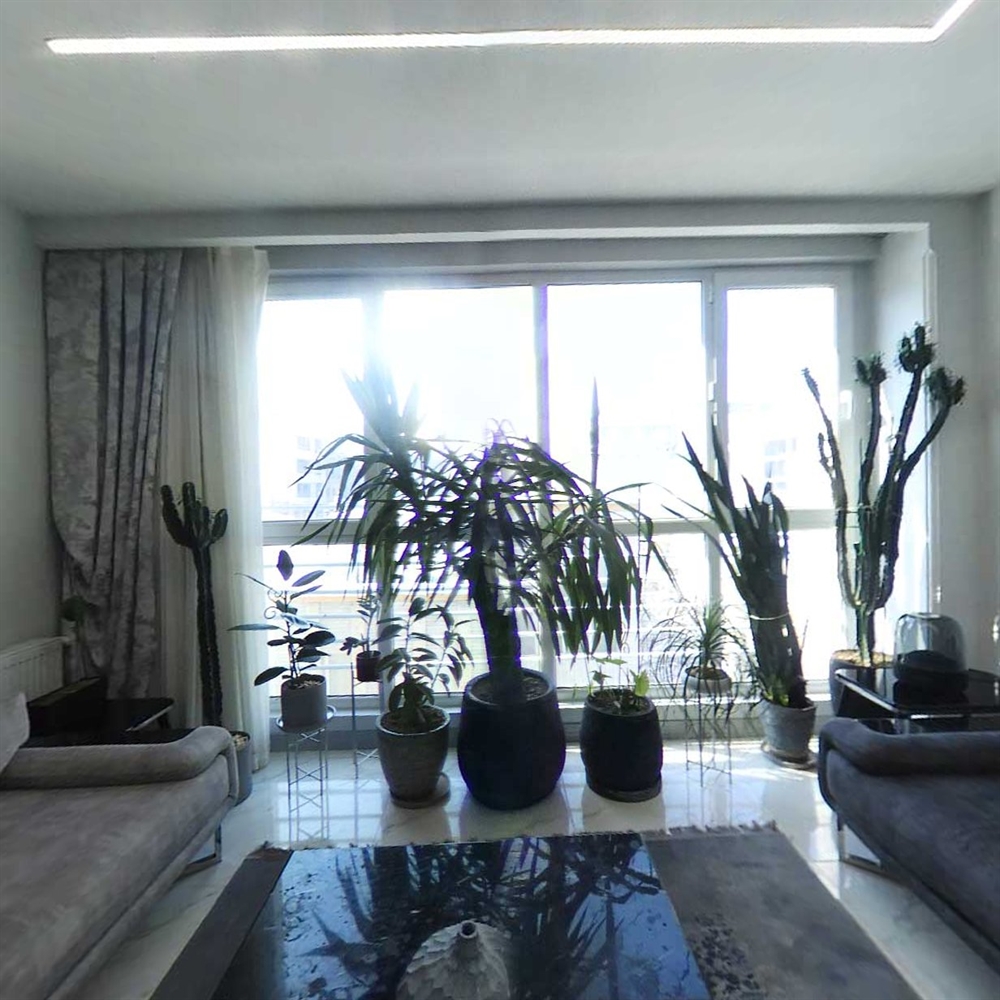 75 متر ، نور مستقیم ، مهدیه