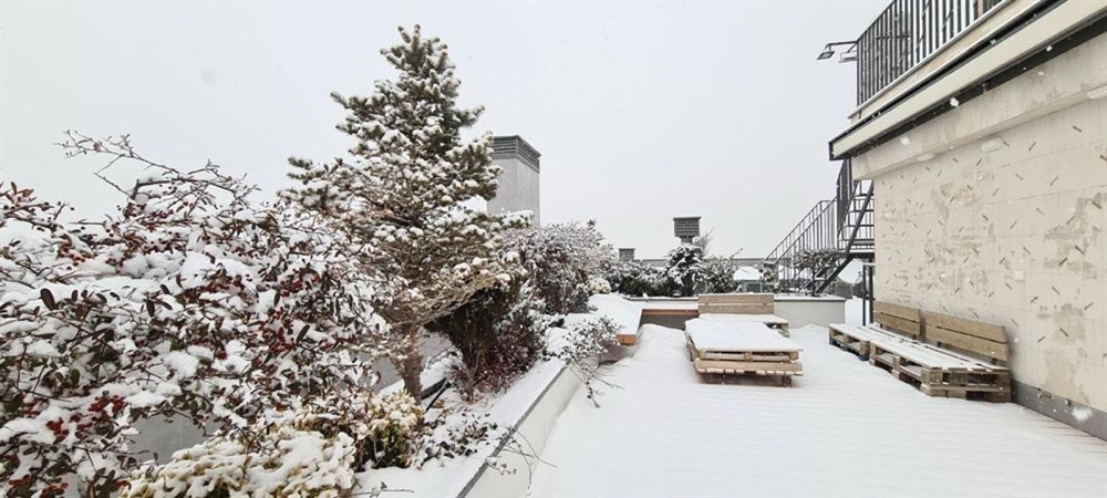 142 متر ، تک واحدی ، استادان